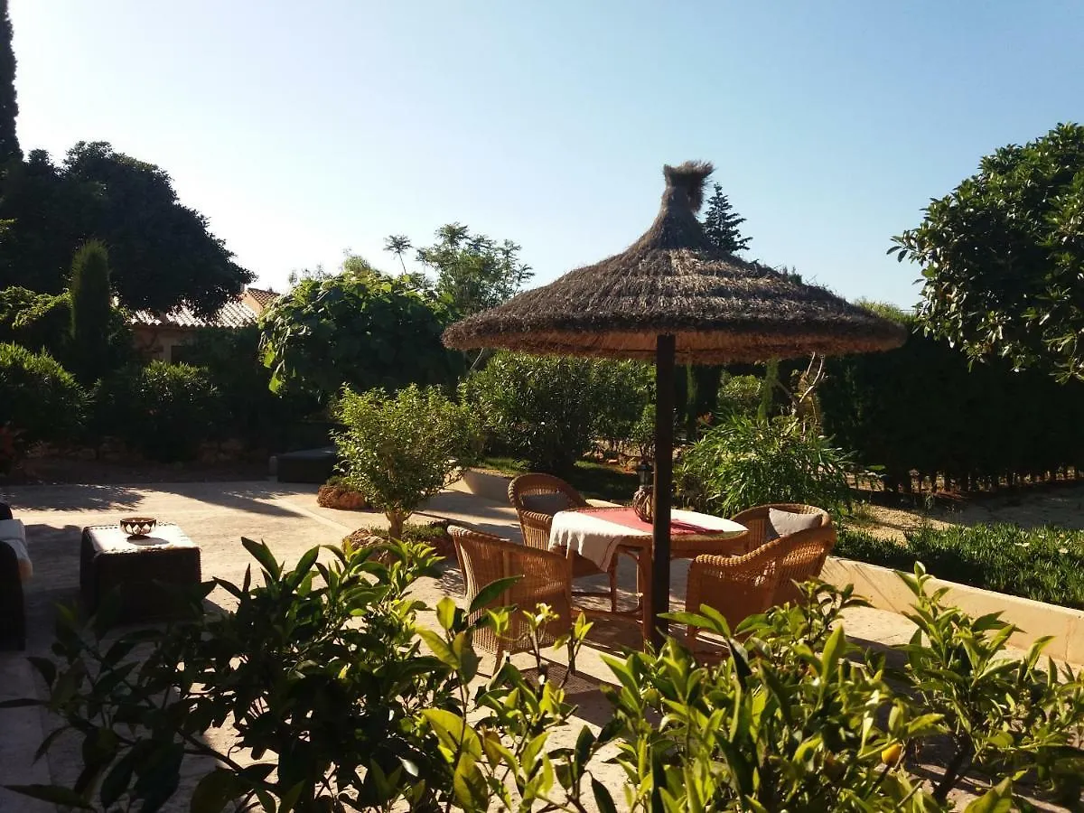 Finca La Vida Hotel Llucmajor